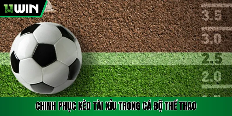 Kèo Tài Xỉu - Hướng Dẫn Chi Tiết Cho Newbie Mới Nhập Môn