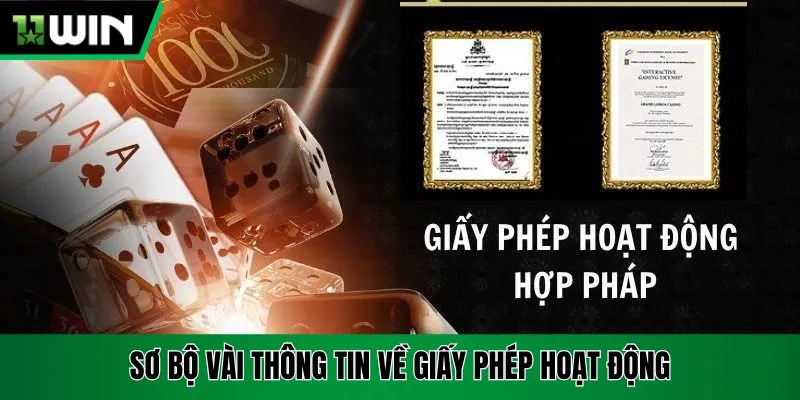 Sơ bộ vài thông tin về giấy phép hoạt động