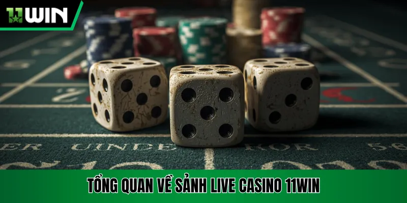 Tổng quan về sảnh live casino 11win